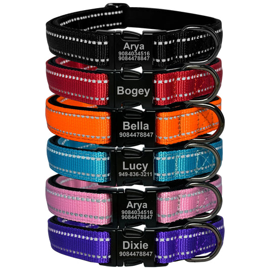 Personalized Collars for Dogs