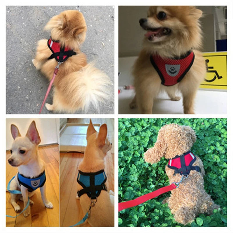 Walking Harness Lead Dog Leash