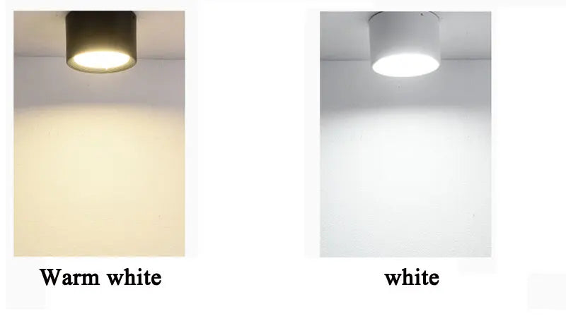 Surface Mounted 12W 15W LED Downlight Lamps