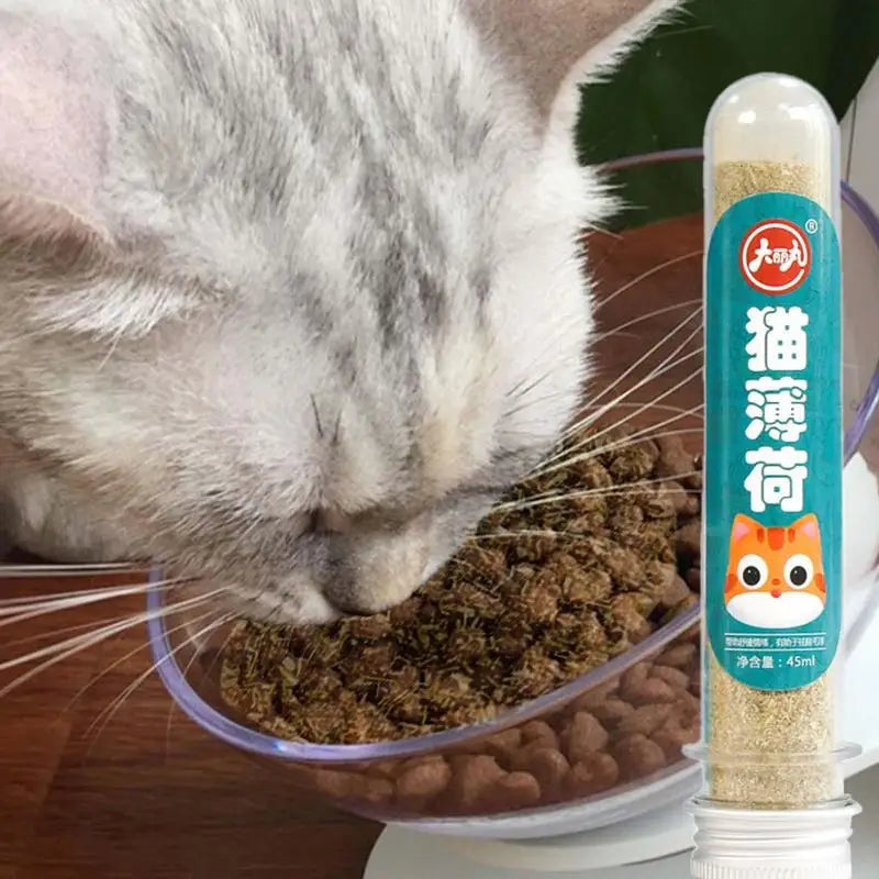 Catnip Treats For Cats