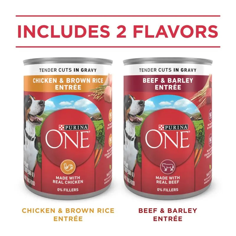 Beef & Chicken Wet Dog Food