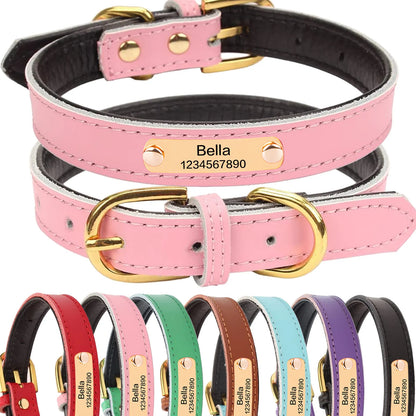 Personalized Leather Padded Dog Collar