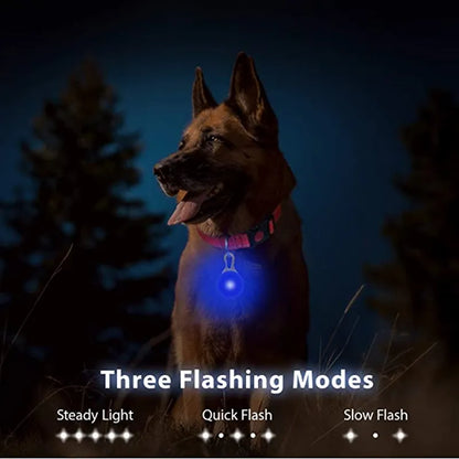 Rechargeable Led Dog Collar Pendant