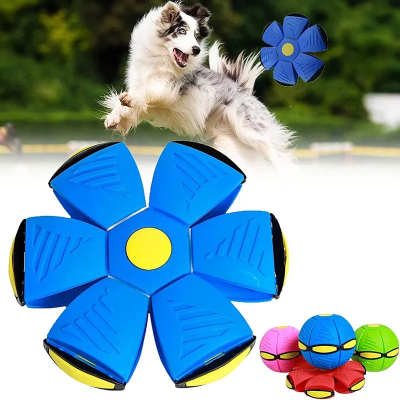 Interactive Flying Saucer Ball Dog Toys