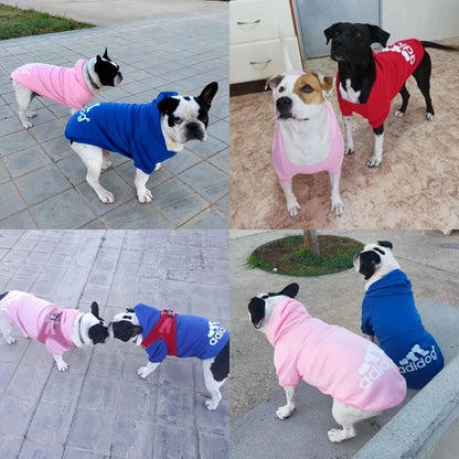 Winter Hoodies Pet Clothes