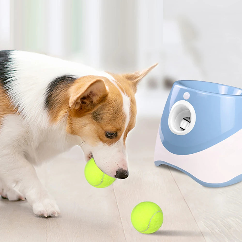 Outdoor Pet Interactive Ball Thrower