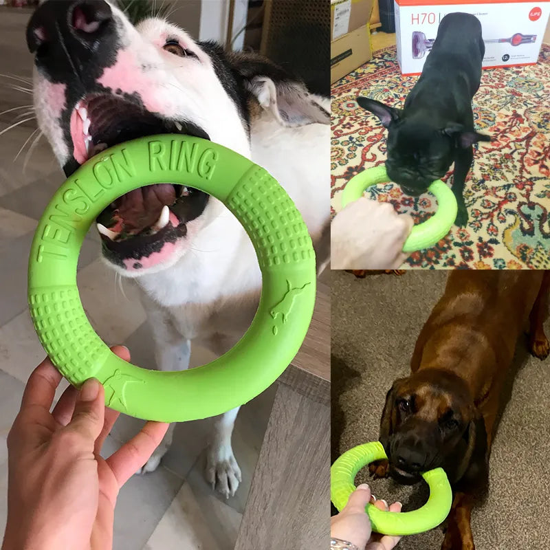 Dog Toy Training Ring Puller Puppy Flying Disk