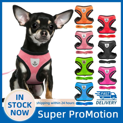 Walking Harness Lead Dog Leash