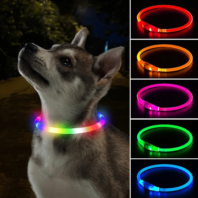 Luminous Led Dog Collar