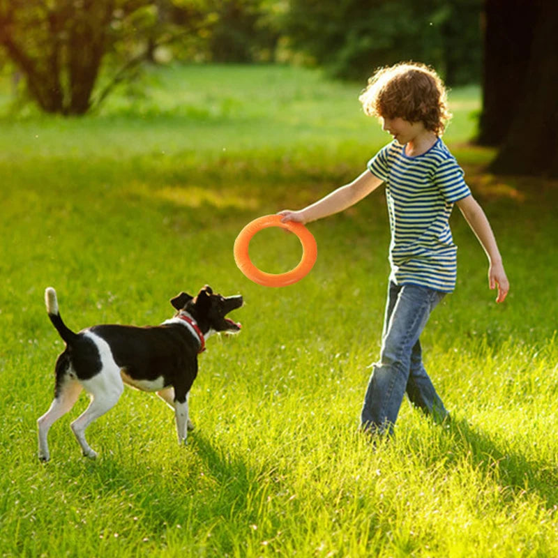 Dog Toy Training Ring Puller Puppy Flying Disk