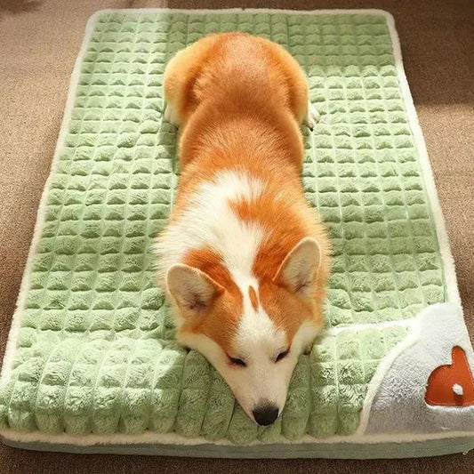 Washable Winter Dog Mat