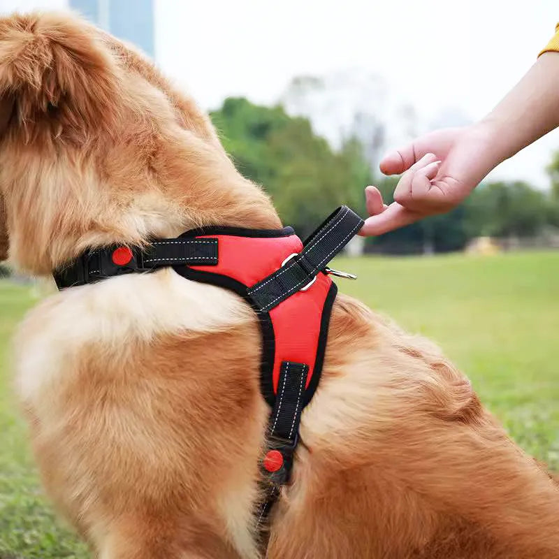 Saddle Dog Reflective Adjustable Harness