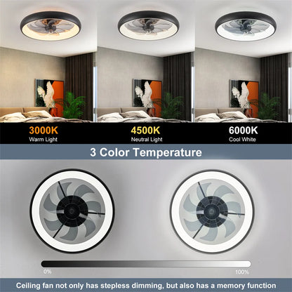 Adjustable Speed Modern Ceiling Fan