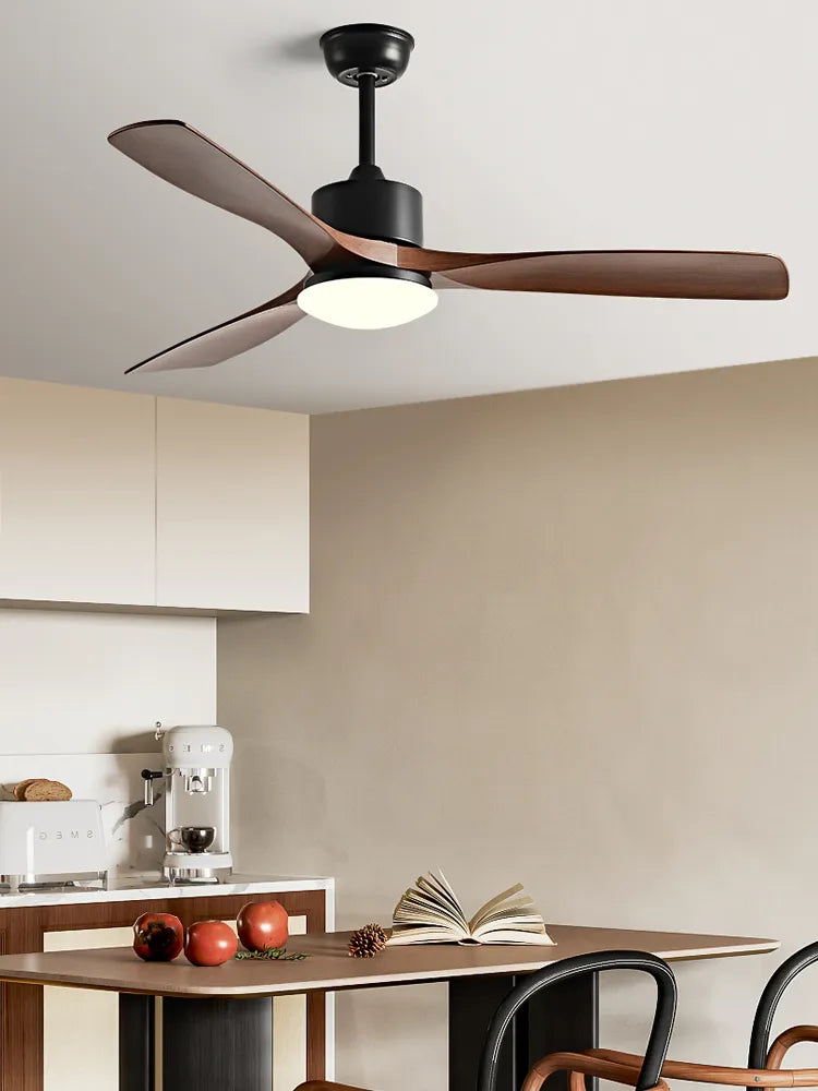 Modern Simplicity Ceiling fan