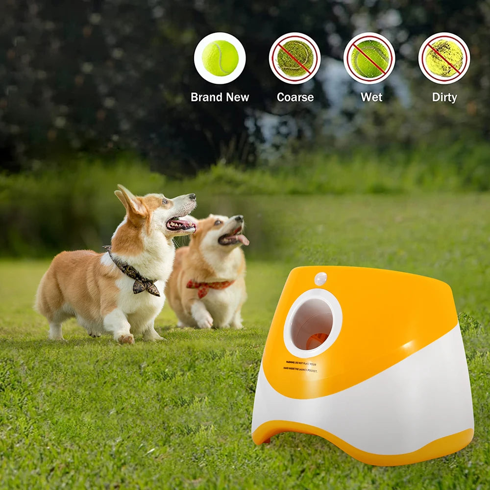 Outdoor Pet Interactive Ball Thrower