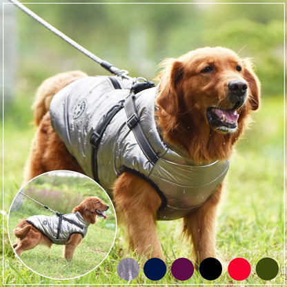 Pet Jacket With Harness