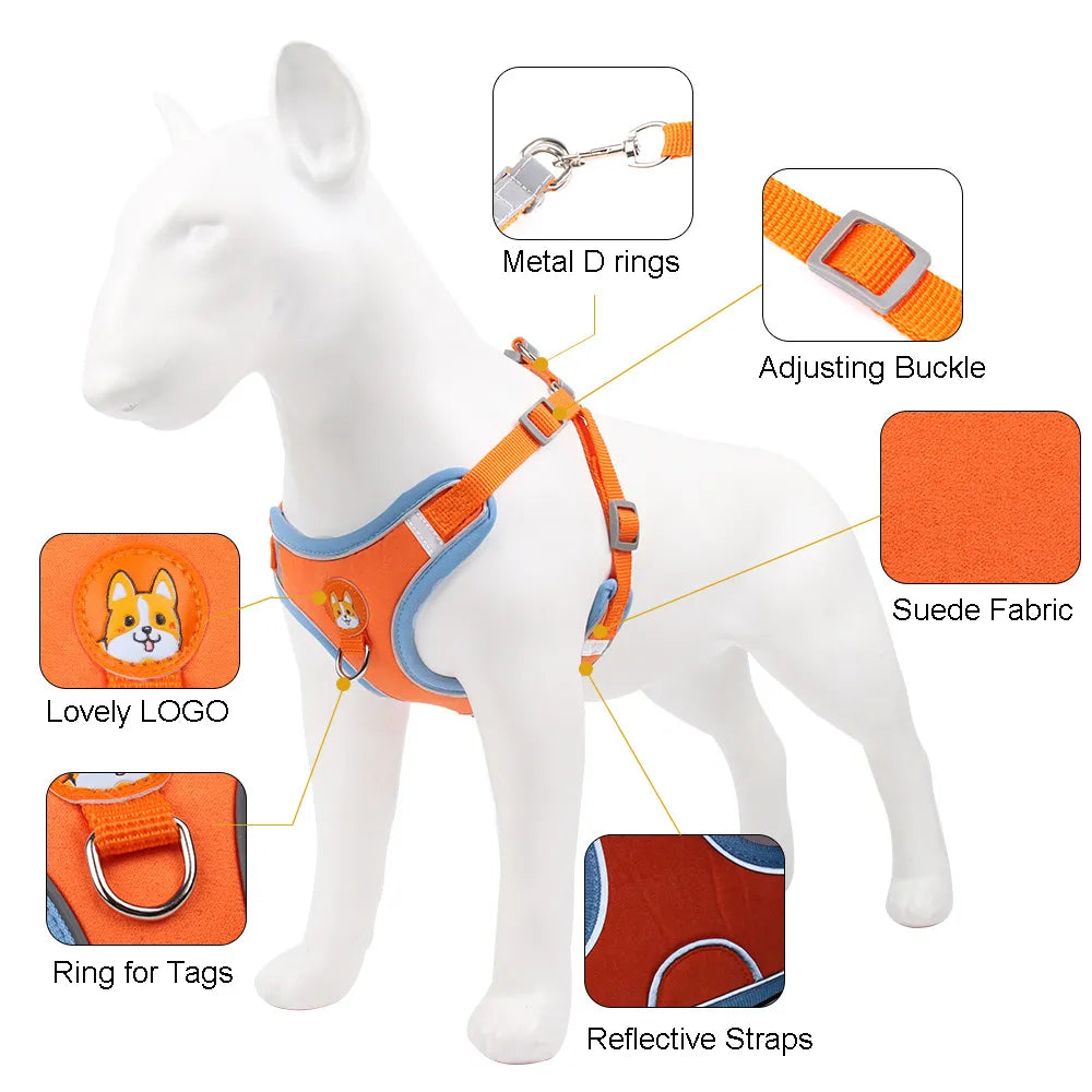 Dog Harness with 1.5m Traction Leash Set