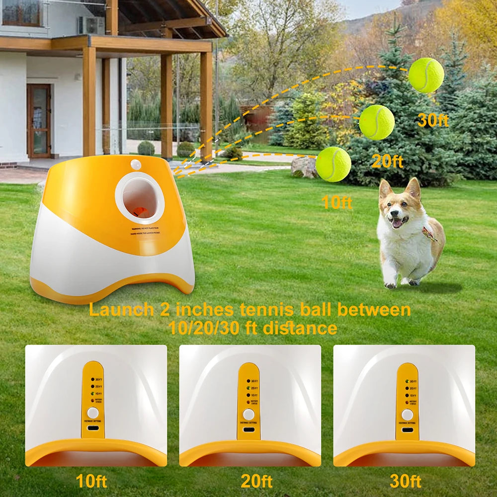 Outdoor Pet Interactive Ball Thrower