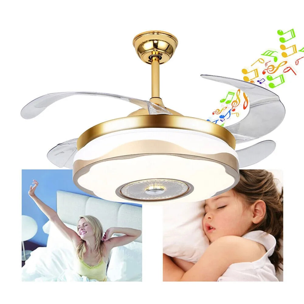 Ceiling Fans With Decorative Light