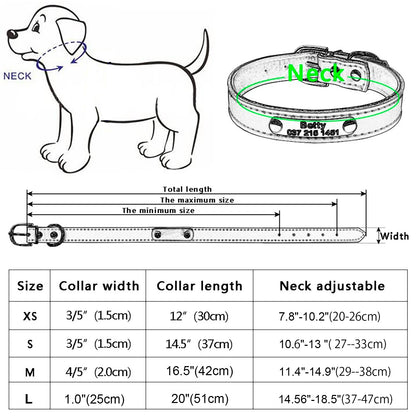 Personalized Leather Padded Dog Collar