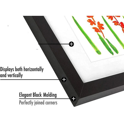 Changeable Poster Photo Drawing Paintings Display